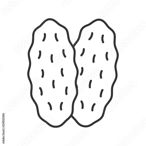 Thymus gland linear icon