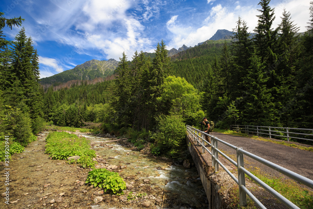 Koprova valley dolina in Slovak High Tatras under Krivan Koprova valley dolina in Slovak High Tatras under Krivan