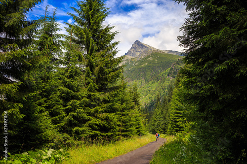 Fototapeta Naklejka Na Ścianę i Meble -  Protected Koprova Valley for cycling in high Tatras