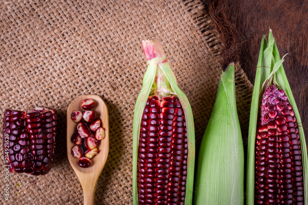 Fresh corn on cobs on rustic wooden table, closeup Fresh corn on cobs on rustic wooden table, closeup