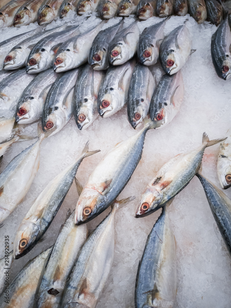 Obraz premium fresh fish in the market