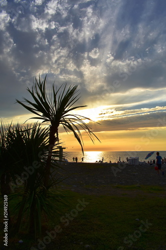 Beautiful sunset over the Black sea. Beach with palm trees in Batumi, Georgia