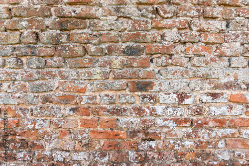 old brick wall grunge lichen