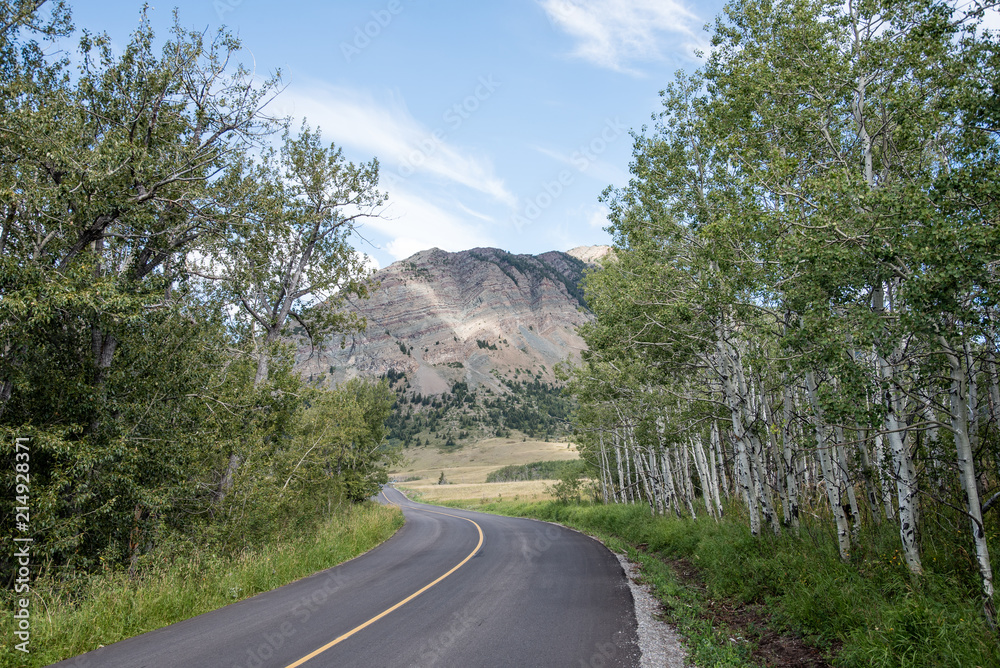 Fototapeta premium Road to the Rockies