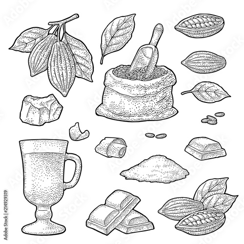 Chocolate piece, bar and shave. Vector vintage black engraving