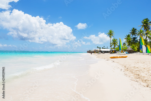 Coconut Palm trees on white sandy beach