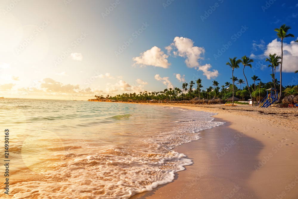 Obraz premium Palmy kokosowe na kolorowy zestaw słońca