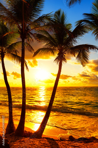Fototapeta Naklejka Na Ścianę i Meble -  Coconut palm trees against colorful sunset