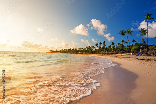 Fototapeta Naklejka Na Ścianę i Meble -  Coconut palm trees on colorful sun set
