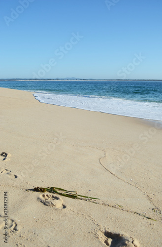 A strand of seaweed among some footprints on a deserted beach. The water is calm, and the sky pale blue.