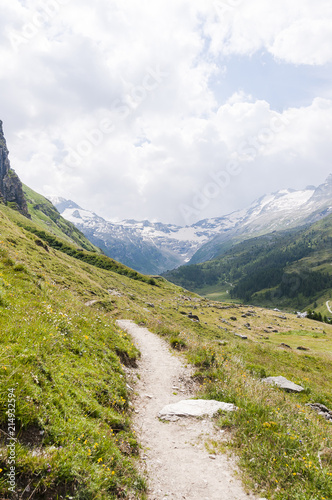 Sils, Fextal, Val Fex, Fexgletscher, Piz Tremoggia, Wanderweg, Bergwiesen, Alm, Oberengadin, Graubünden, Sommer, Schweiz