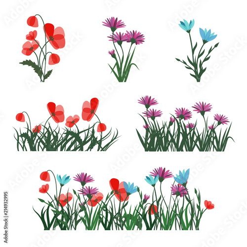 Set of spring garden flowers isolated on white. Vector summer floral elements for design.