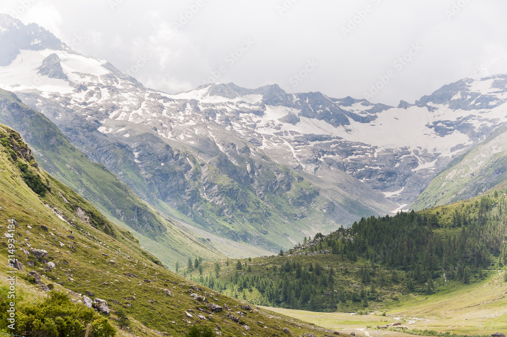 Sils, Segl, Val Fex, Fextal, Fextgletscher,  Piz Tremoggia, Alpen, Oberengadin, Graubünden, Sommer, Schweiz