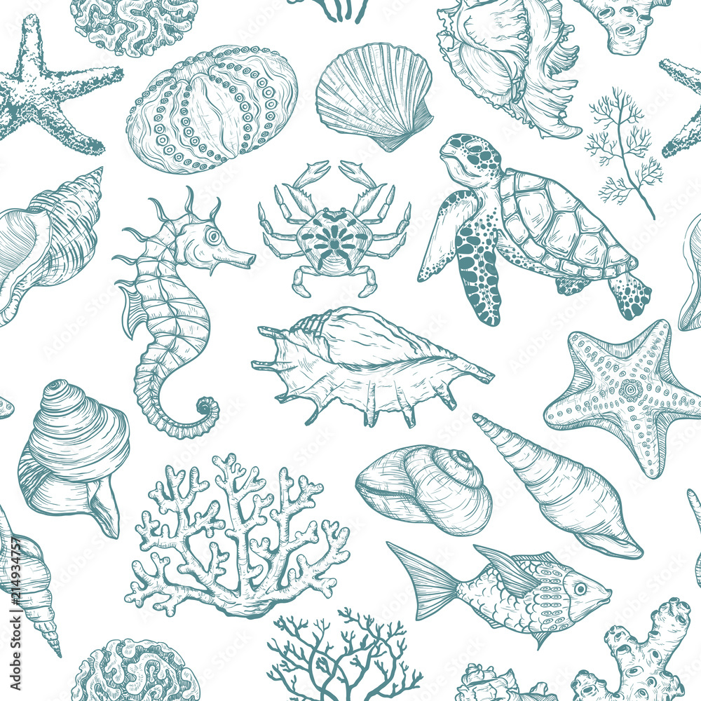 Seamless pattern with sketch of Seal Ocean life organisms shells, fish, corals and turtle. Seamless pattern with sketch of Seal Ocean life organisms shells, fish, corals and turtle.