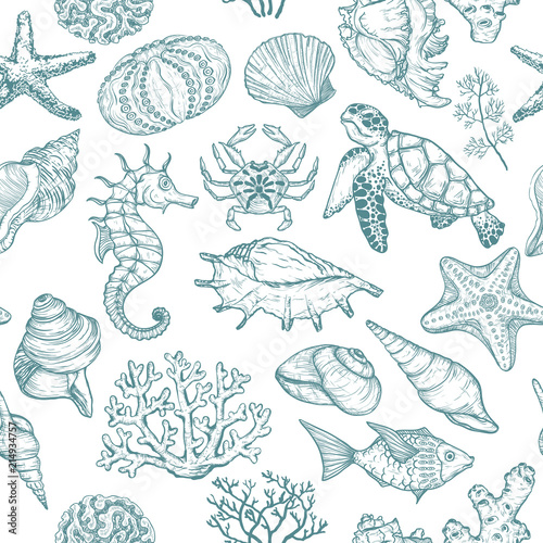 Seamless pattern with sketch of Seal Ocean life organisms shells, fish, corals and turtle.