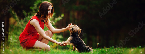 Dog gives paw for food