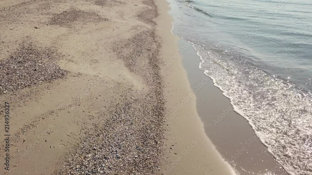 Seashore in summer on a sunny day. Aerial view. Beach with sand and seashells. Calm sea. Beautiful natural background Seashore in summer on a sunny day. Aerial view. Beach with sand and seashells. Calm sea. Beautiful natural background