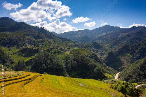 Rice fields at Northwest Vietnam