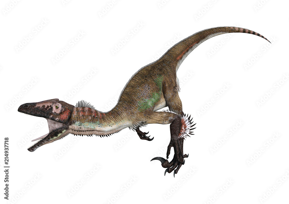 3D Rendering Dinosaur Utahraptor on White 3D Rendering Dinosaur Utahraptor on White