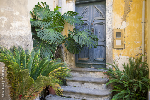 Traditional Mediterranean village doorway with rounded arch is framed by tropical potted plants and a faded yellow wall