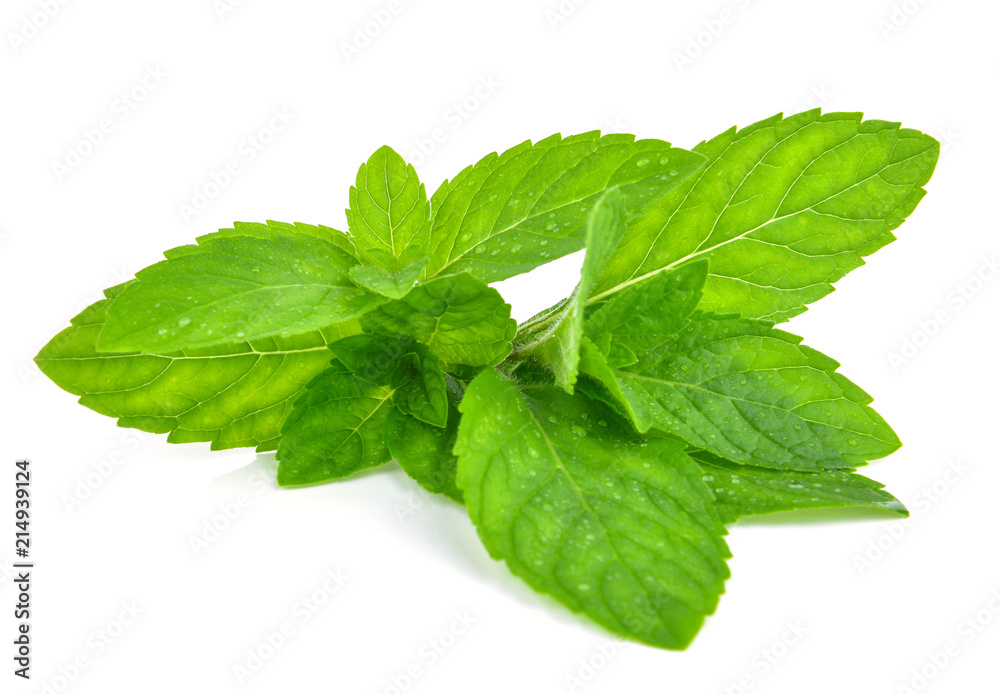Fresh mint leafs isolated on a white background Fresh mint leafs isolated on a white background