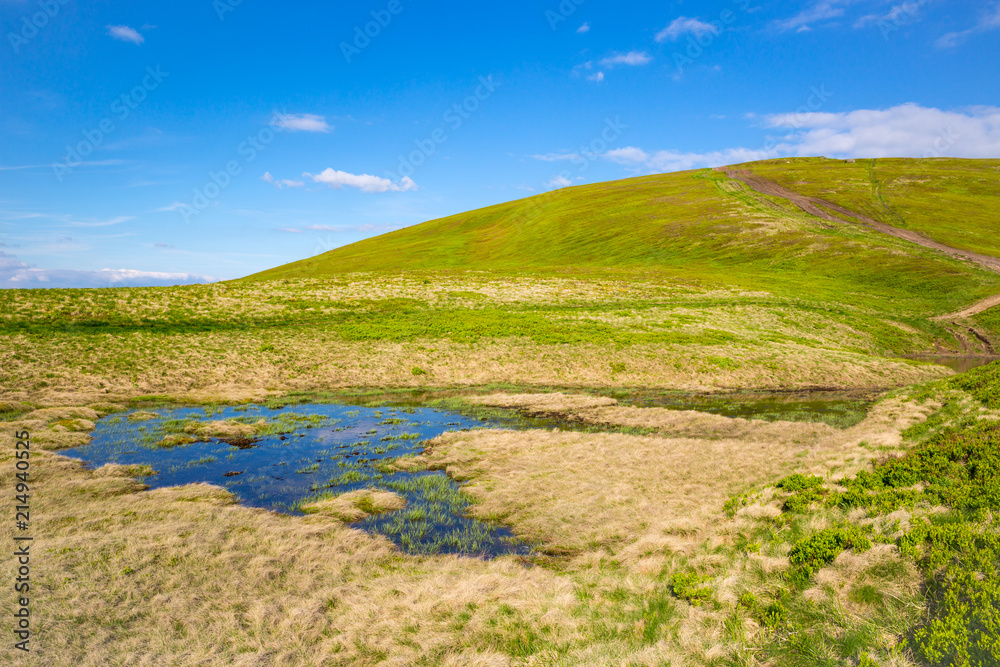 puddle on mountain meadow