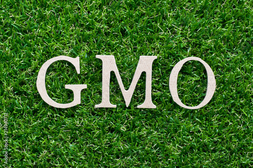 Wood alphabet in word GMO (abbreviation of Genetically Modified Organisms) on artificial green grass background