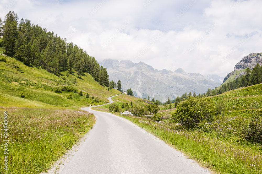 Sils, Val Fex, Fextal, Wanderweg, Fex Cresta, Alpen, Oberengadin, Graubünden, Sommer, Schweiz Sils, Val Fex, Fextal, Wanderweg, Fex Cresta, Alpen, Oberengadin, Graubünden, Sommer, Schweiz