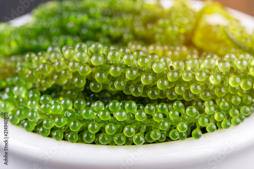 Sea grapes ( green caviar ) seaweed,