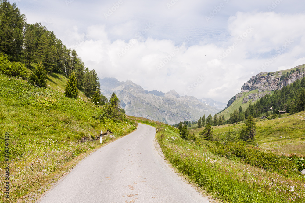 Sils, Val Fex, Fextal, Wanderweg, Fex Cresta, Alpen, Oberengadin, Graubünden, Sommer, Schweiz Sils, Val Fex, Fextal, Wanderweg, Fex Cresta, Alpen, Oberengadin, Graubünden, Sommer, Schweiz