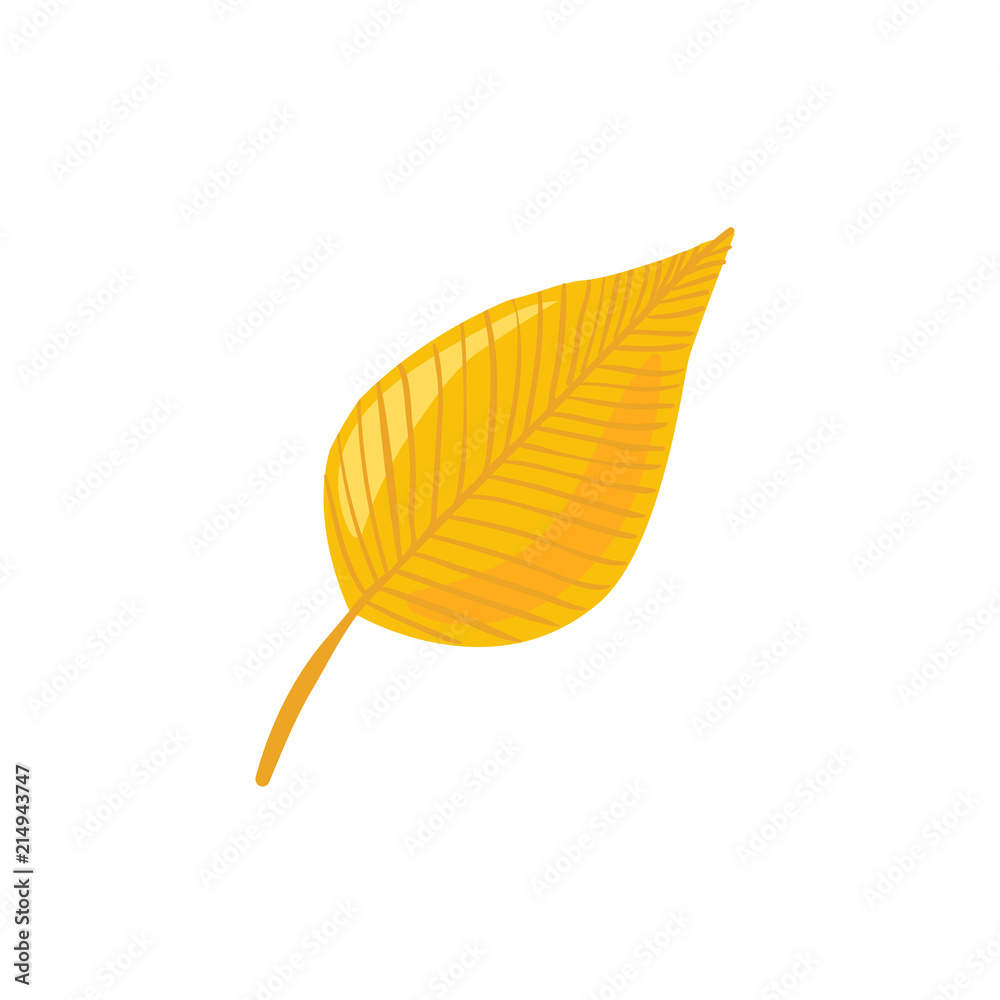 Hand drawn yellow leaf. Leaf in line art style isolated on white background. Hand drawn yellow leaf. Leaf in line art style isolated on white background.