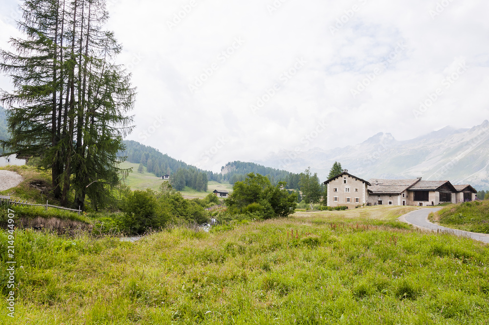 Obraz premium Sils, Val Fex, Fextal, Wanderweg, Schlucht, Fedacla, Fluss, Schluchtweg, Fex Platta, Oberengadin, Alpen, Sommer, Graubünden, Schweiz