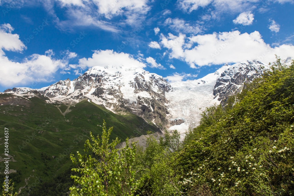 Adishi glacier with blue sky on background and green trees on foreground in Georgia, Svaneti region