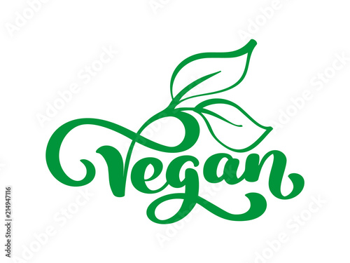 Vegan vector illustration logo, food design. Handwritten lettering for restaurant, cafe raw menu. Elements for labels, logos, badges, stickers or icons. Calligraphic and typographic collection