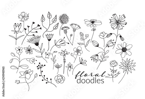 collection of botanical hand drawn doodles. meadow plants and flowers elements. pencil ink sketch of flowers and leaves