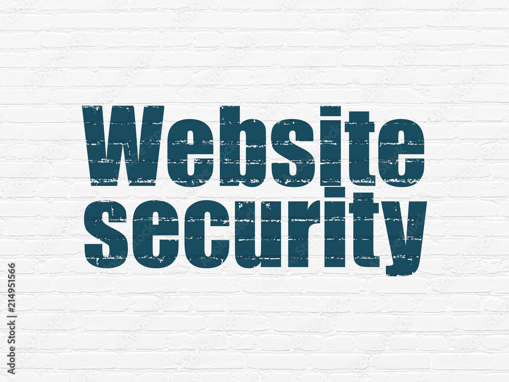 Web development concept: Painted blue text Website Security on White Brick wall background