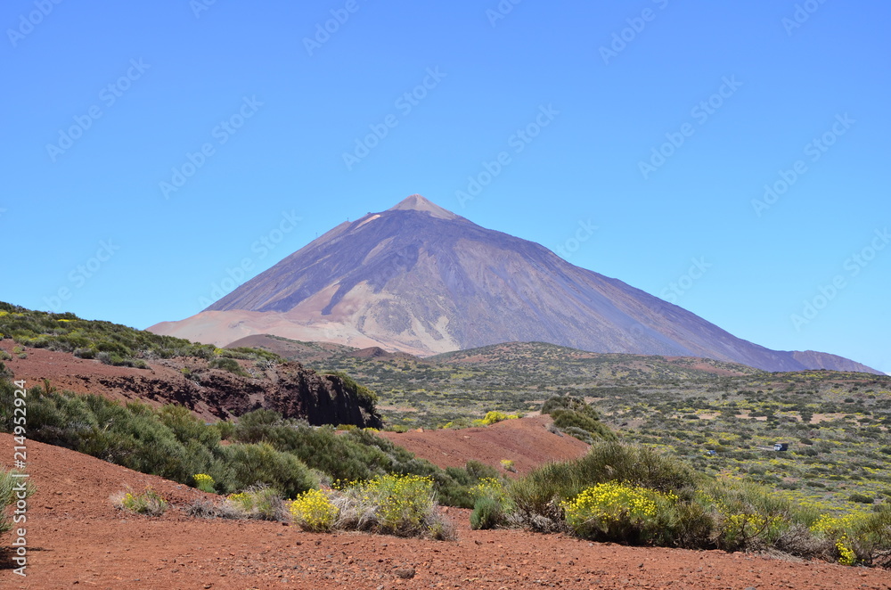 Obraz premium Teneriffa 2018