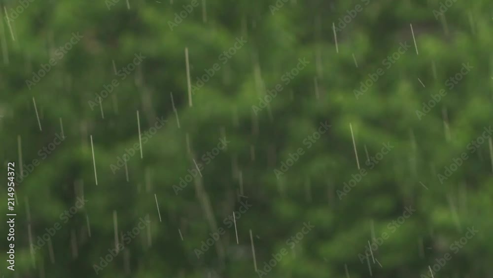 rain falling with green leaves blurred in background - slow motion (exterior) rain falling with green leaves blurred in background - slow motion (exterior)