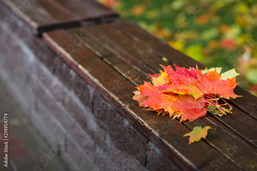 bouquet of autumn maple leaves on a bench in the Park close-up