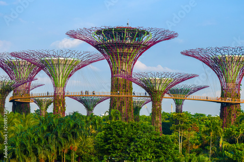 シンガポール　植物園　 © ndk100