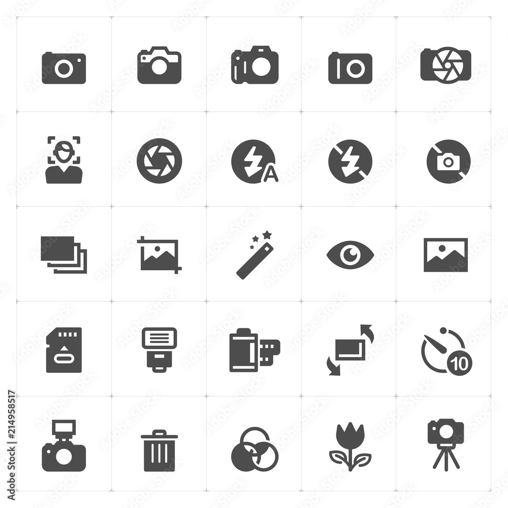 Icon set - camera and photograph filled icon style vector illustration on white background Icon set - camera and photograph filled icon style vector illustration on white background