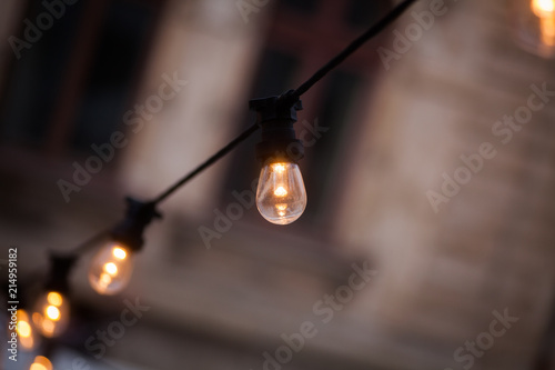 Wallpaper Mural Garland with lights Torontodigital.ca