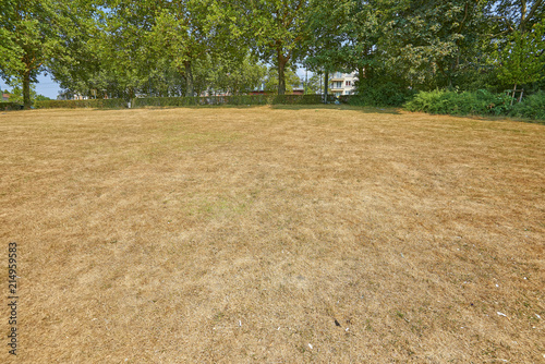 Great heat waves at the park Josaphat in Brussels photo