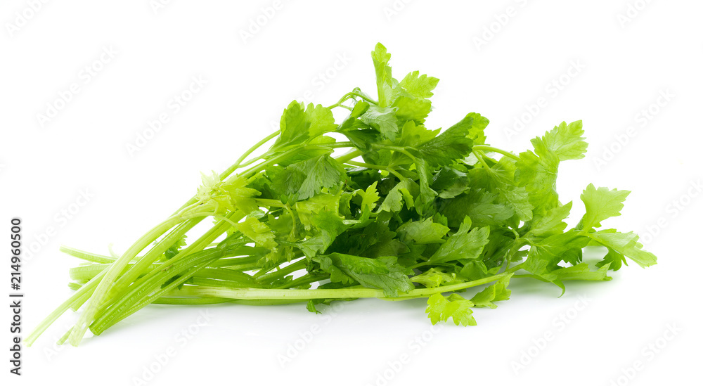 Fresh celery isolated on white background Fresh celery isolated on white background