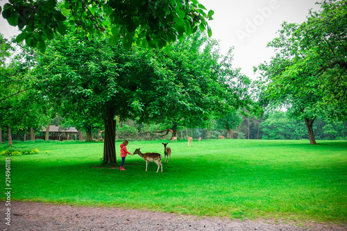 Happy pretty little girl in rubber boots feeds deers in the nature park at autumn