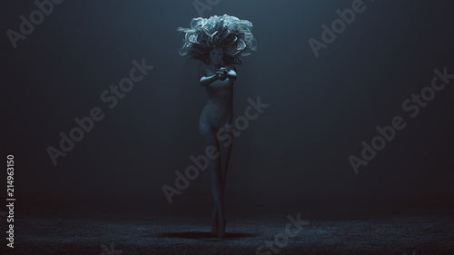 Fotografering Evil Spirit in a foggy void with a Bad Hair Day 3d Illustration
