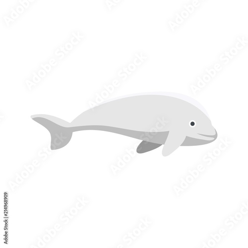 Beluga whale icon. Flat illustration of beluga whale vector icon for web isolated on white