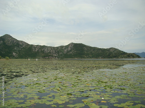 Skadar lake national park
