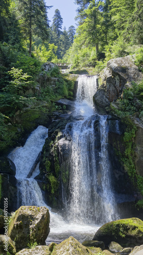 Chutes d'eau de Todtnau- Forêt Noire