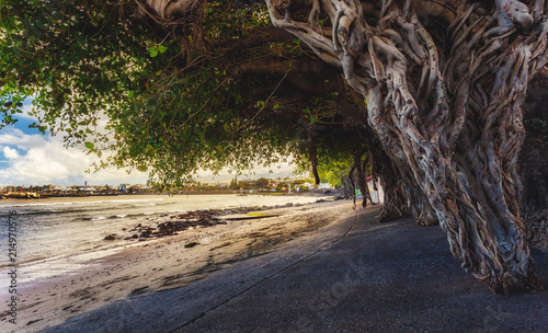 Panomara on the bay of Terre Sainte in Saint-Pierre - Reunion Island